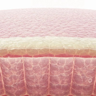 Close-up of healthy skin barrier, showing microscopic view of skin cells and moisture. Focus on skin health and protection.